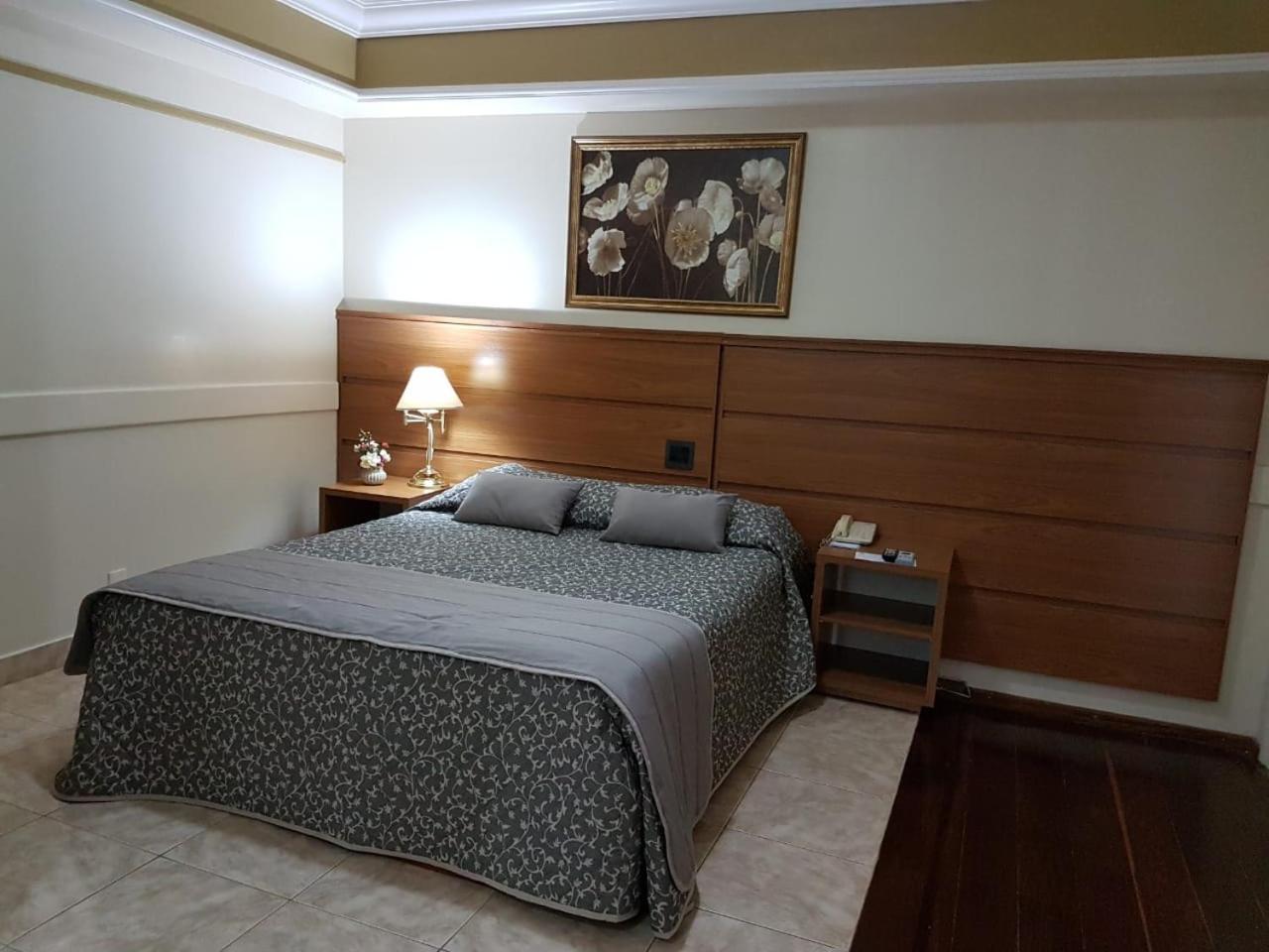 Tamareiras Park Hotel Uberaba Eksteriør bilde